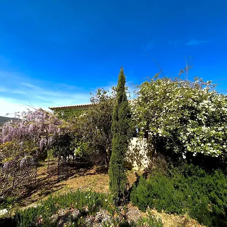 Domaine Victoria Villa *