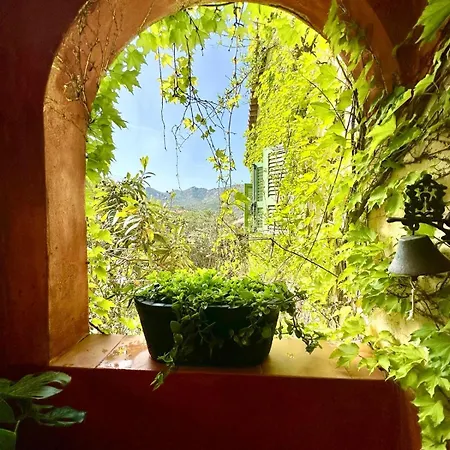 Villa Domaine Victoria Sant'Antonino