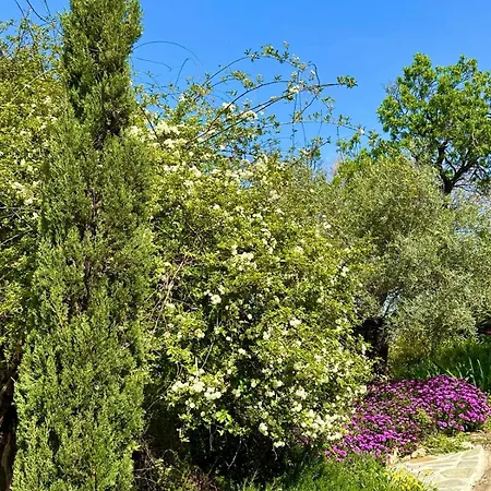 Villa Domaine Victoria *