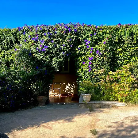 Domaine Victoria Sant'Antonino