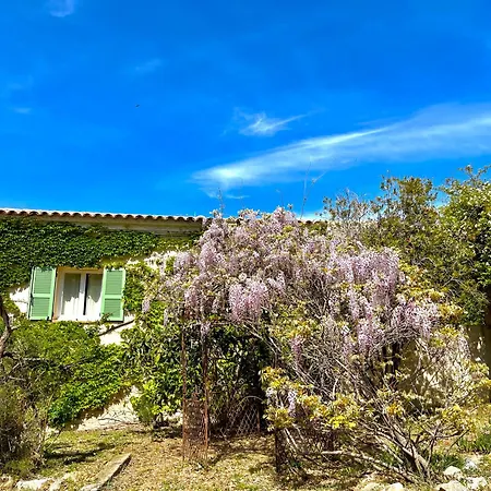 Domaine Victoria Sant'Antonino