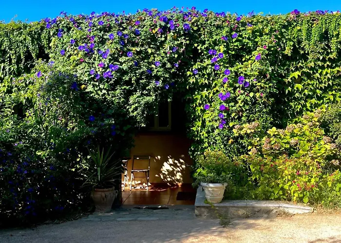 Domaine Victoria Sant'Antonino