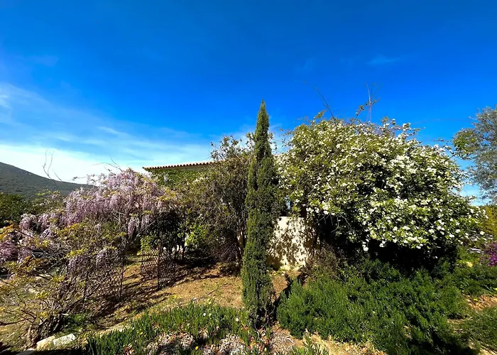 Domaine Victoria Villa *