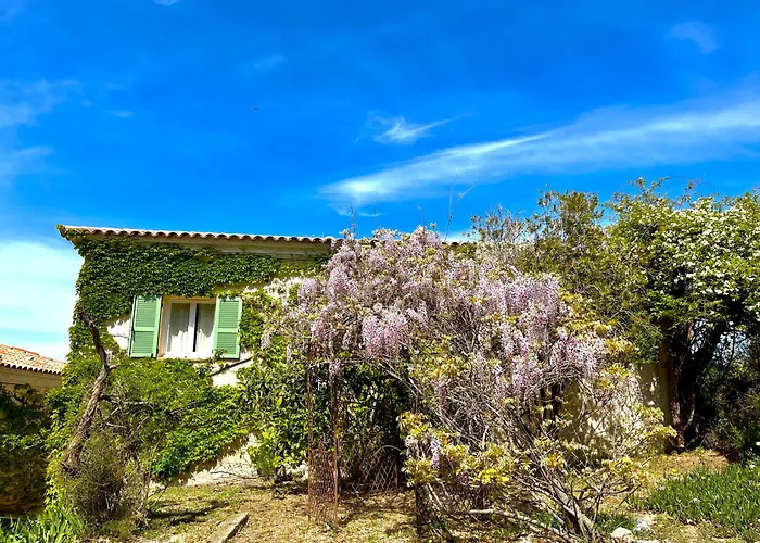 Domaine Victoria Sant'Antonino