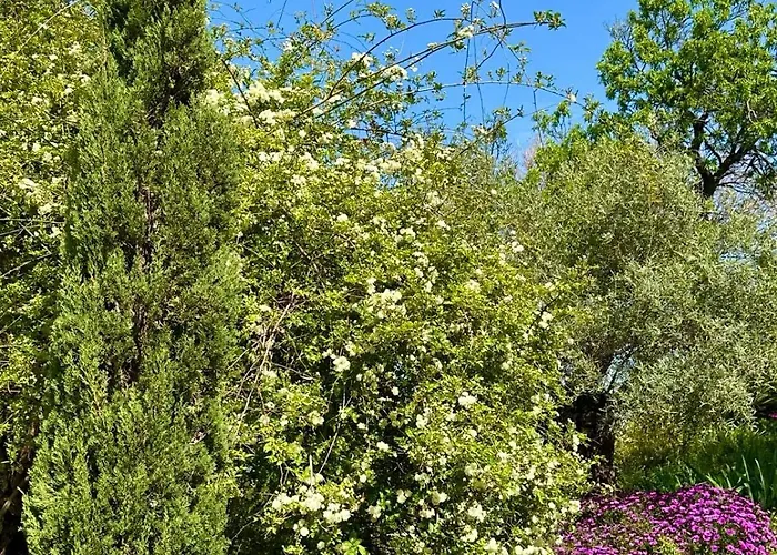 Villa Domaine Victoria *